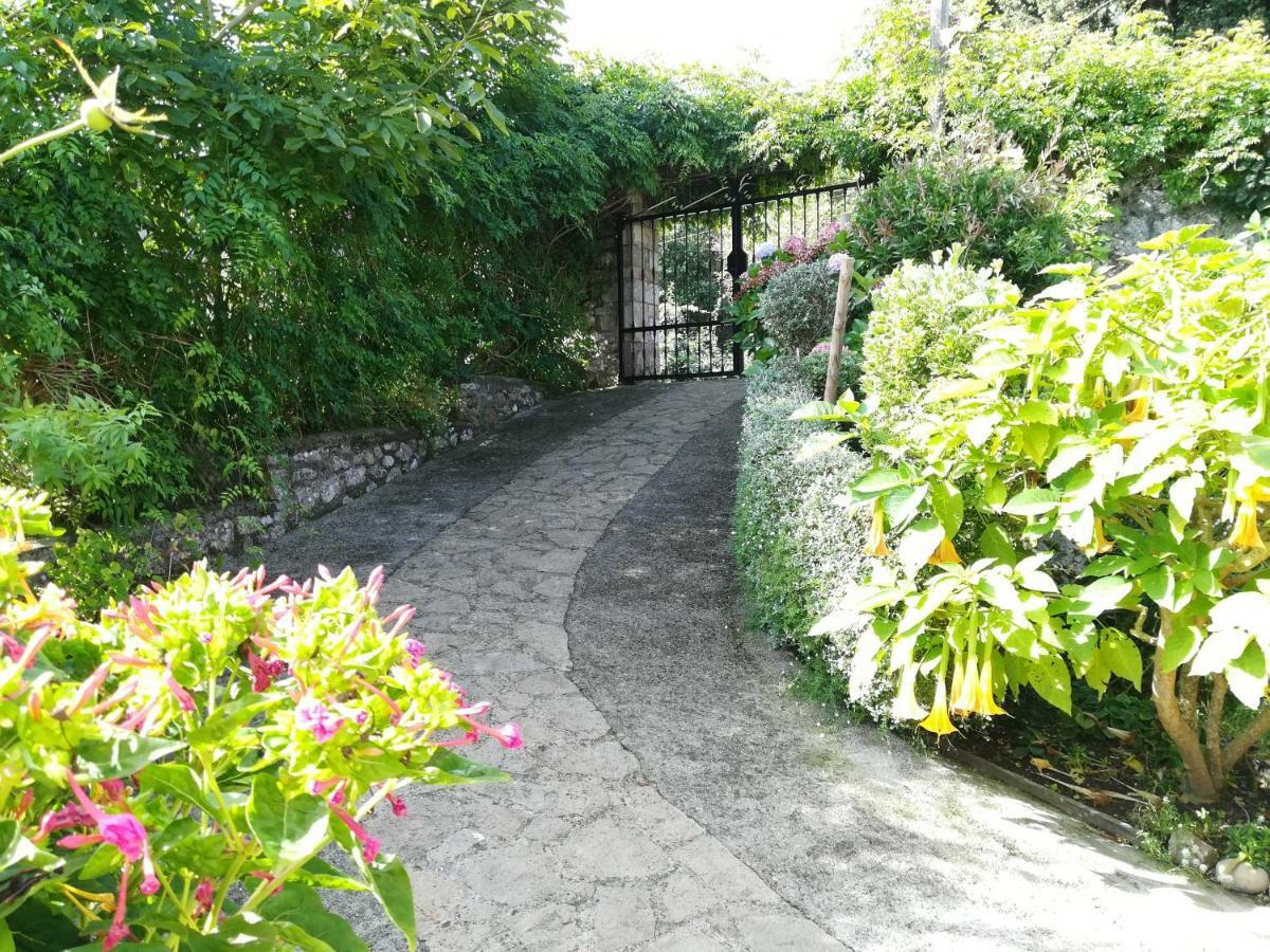 Casa Nueva Carmen Pension Pendueles Buitenkant foto