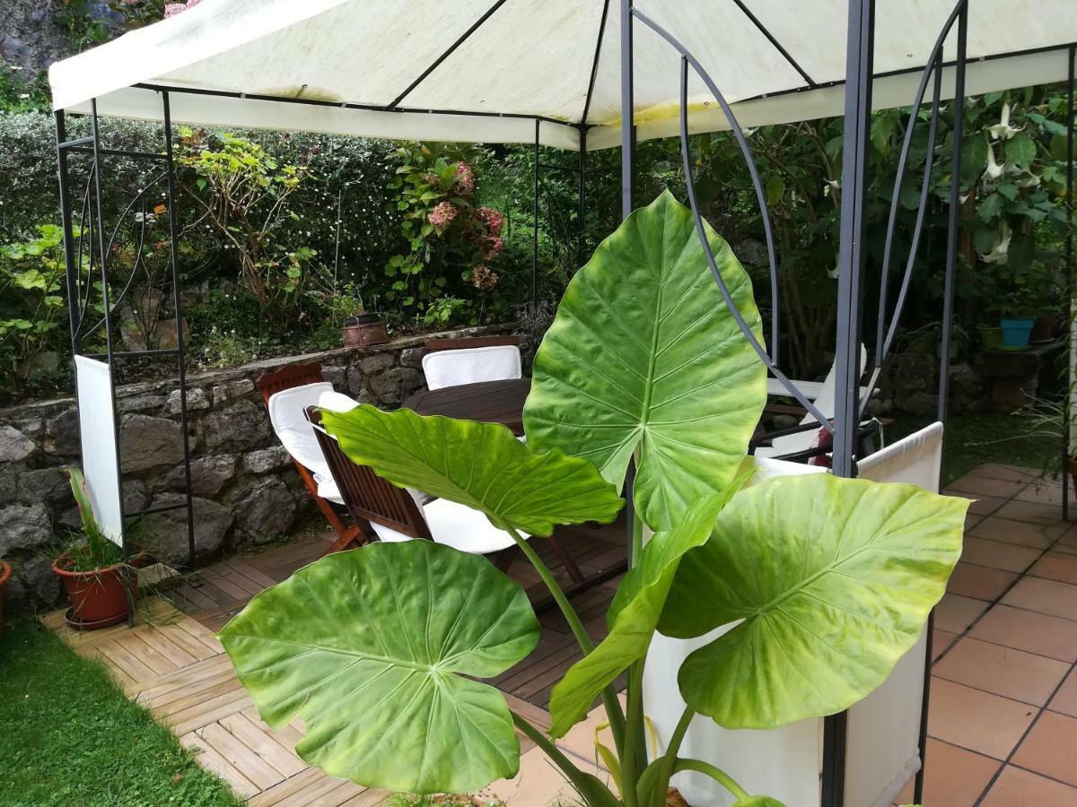 Casa Nueva Carmen Pension Pendueles Buitenkant foto